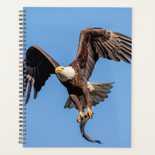 Bald-Adler 2024 Planer