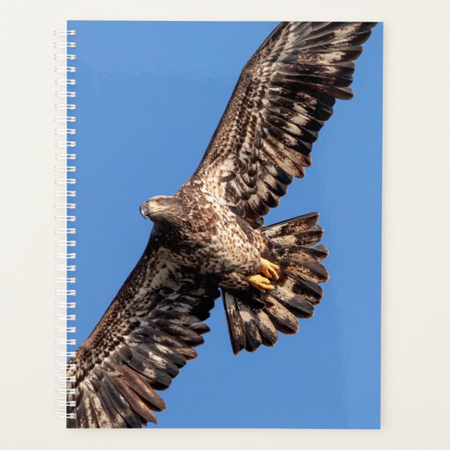Bald-Adler 2024 Planer (Vorderseite)