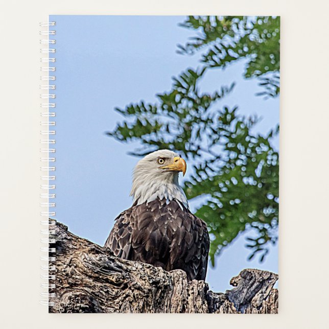 Bald-Adler 2024 Planer (Vorderseite)