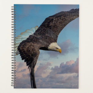 Bald-Adler 2024 Planer