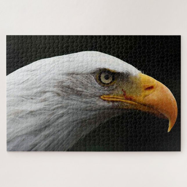 Bald Adler 20x30 1014pc jpcn Puzzle (Horizontal)