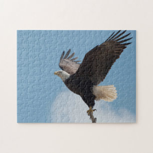 Bald-Adler abheben - Puzzle
