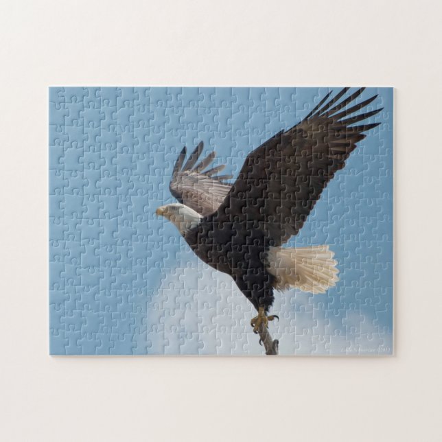 Bald-Adler abheben - Puzzle (Horizontal)