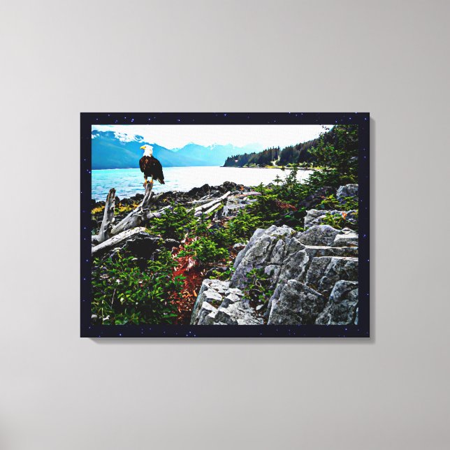 Bald-Adler an der Küste von Alaska Leinwanddruck (Vorderseite)