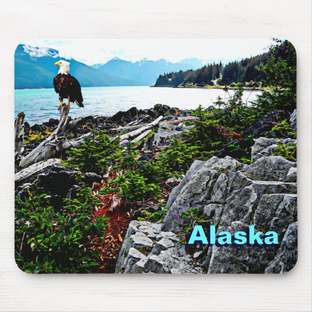 Bald-Adler an der Küste von Alaska Mousepad (Vorne)