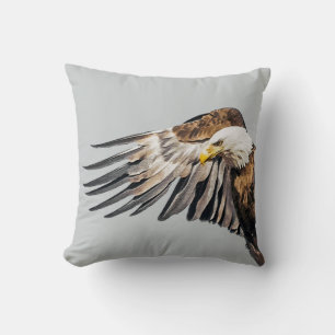Bald Adler auf dem Flügel Kissen