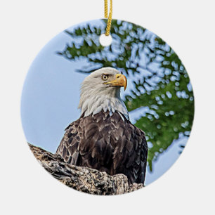 Bald-Adler auf einem Baumzweig Keramik Ornament