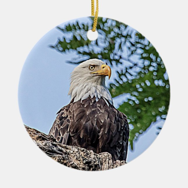 Bald-Adler auf einem Baumzweig Keramik Ornament (Vorne)