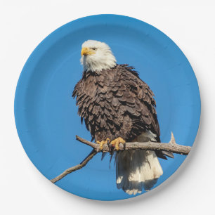 Bald-Adler auf einem Baumzweig Pappteller