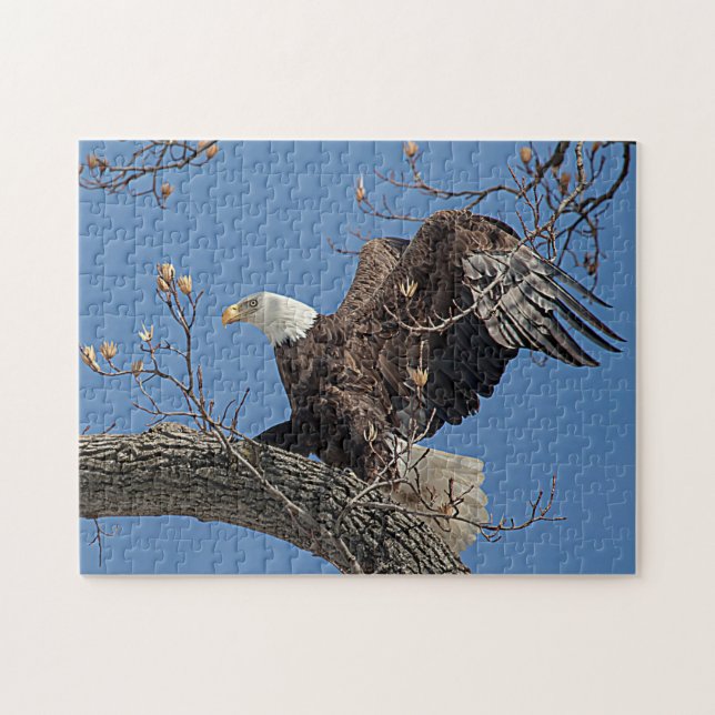 Bald-Adler auf einem Baumzweig Puzzle (Horizontal)