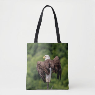 Bald-Adler auf einem Zweig