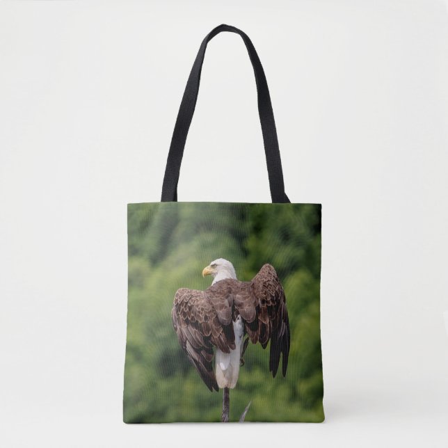 Bald-Adler auf einem Zweig (Vorderseite)