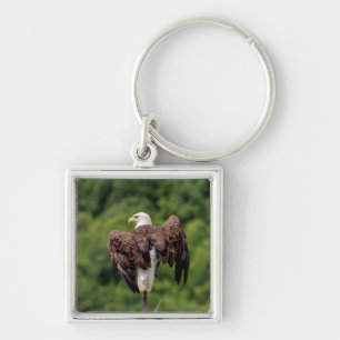 Bald-Adler auf einem Zweig Schlüsselanhänger