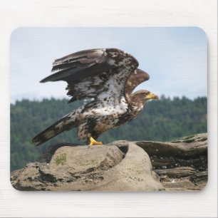 Bald Adler bereit für den Start - Maus-Pad Mousepad