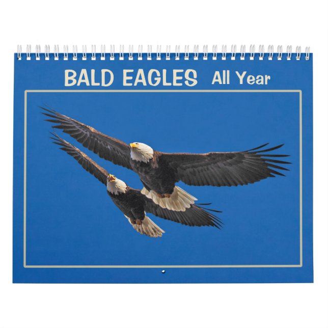 Bald Adler das ganze Jahr Kalender (Titelbild)