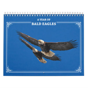 Bald Adler das ganze Jahr Kalender