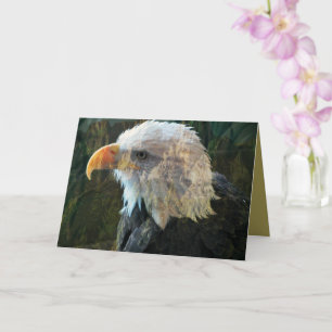 Bald Adler denkt an Ihre Karte