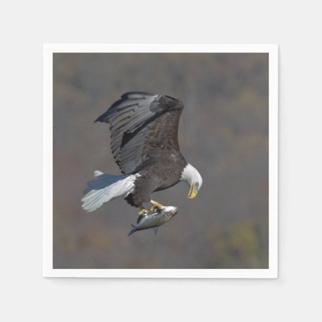 Bald-Adler, der einen Fisch anstarrt Serviette (Vorderseite)