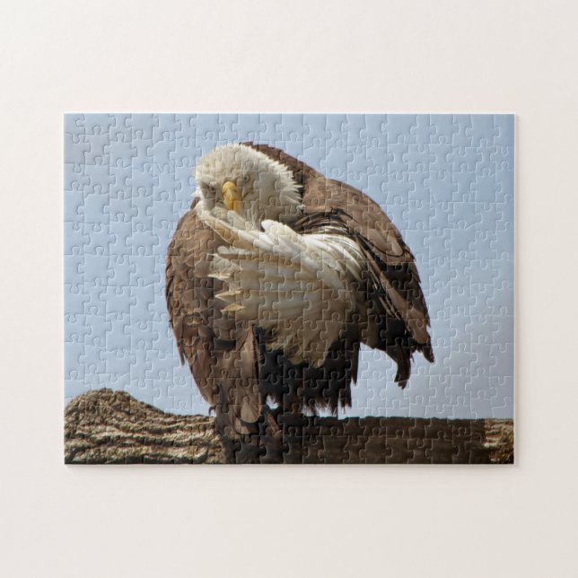Bald-Adler (Der Vogel, der den Vogel spendet) Puzzle (Horizontal)