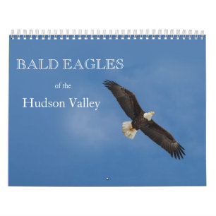 Bald-Adler des Kalenders Hudson Kalender