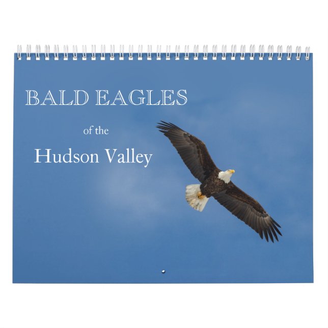 Bald-Adler des Kalenders Hudson Kalender (Titelbild)