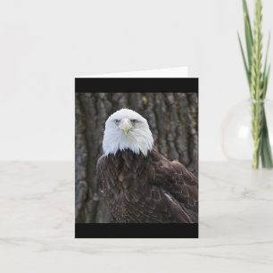 Bald-Adler-Foto Faltkarte