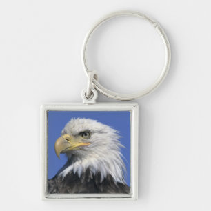 Bald-Adler (Haliäetus leucocephalus), wild, Schlüsselanhänger
