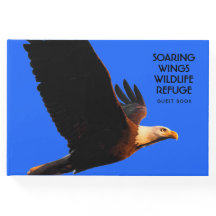 Bald Adler im Flug der Natur