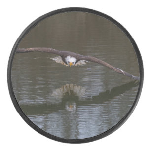 Bald Adler im Flug Eishockey Puck