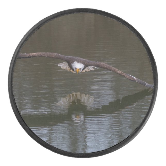 Bald Adler im Flug Eishockey Puck (Vorderseite)
