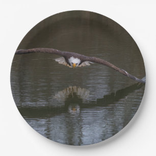 Bald Adler im Flug Pappteller