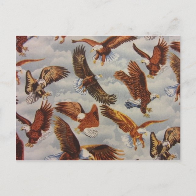 Bald Adler im Flug Postkarte (Vorderseite)