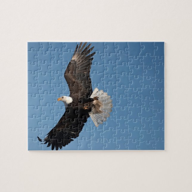 Bald Adler im Flug Puzzle (Horizontal)