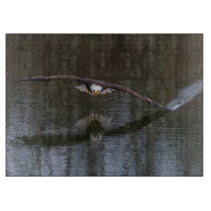 Bald Adler im Flug Schneidebrett