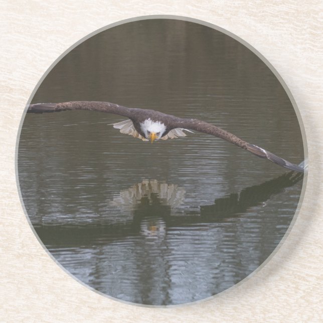 Bald Adler im Untersetzer (Vorne)