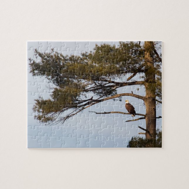 Bald-Adler in einem Kiefernbaum Puzzle (Horizontal)