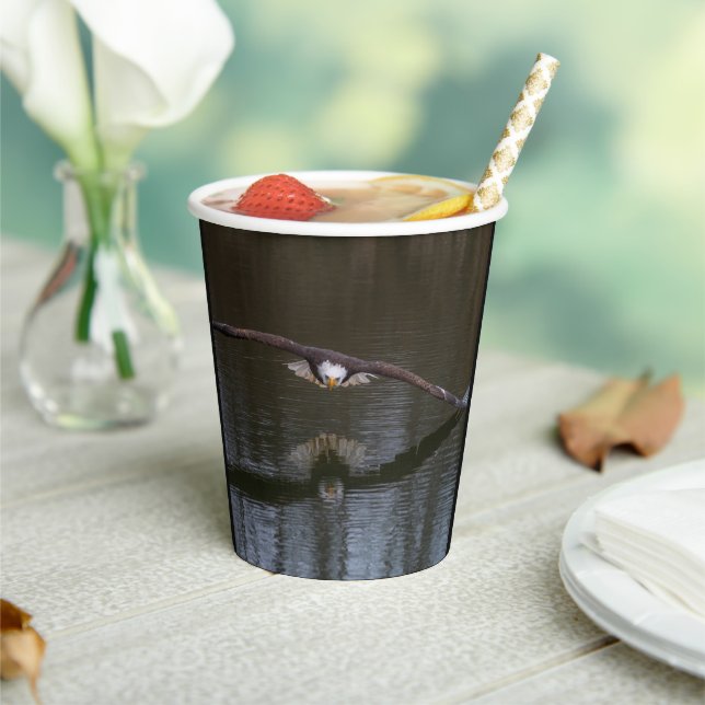 Bald Adler in Flight Paper Cups Pappbecher (In Situ)