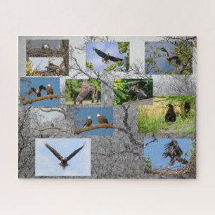 Bald-Adler, Junior Puzzle