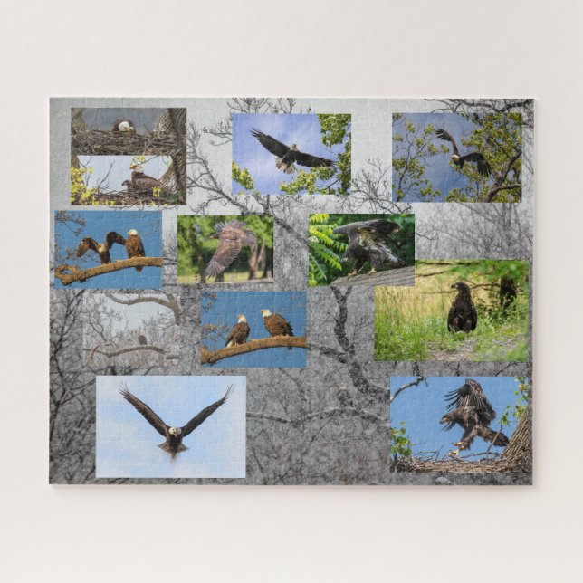 Bald-Adler, Junior Puzzle (Horizontal)