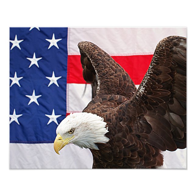 Bald Adler mit amerikanischer Flagge Fotodruck (Vorne)