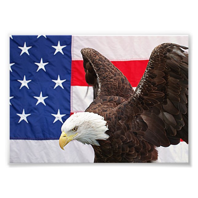 Bald Adler mit amerikanischer Flagge Fotodruck (Vorne)