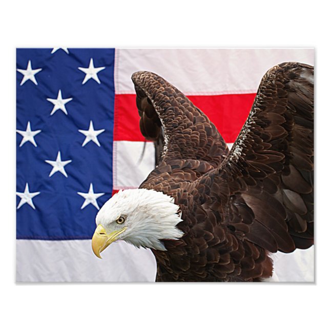 Bald Adler mit amerikanischer Flagge Fotodruck (Vorne)