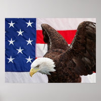 Bald Adler mit amerikanischer Flagge