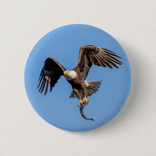 Bald-Adler mit Fisch Button