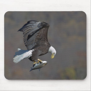 Bald-Adler mit Fisch Mousepad