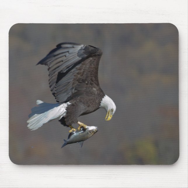 Bald-Adler mit Fisch Mousepad (Vorne)