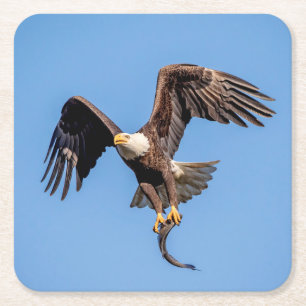 Bald-Adler mit Fisch Rechteckiger Pappuntersetzer