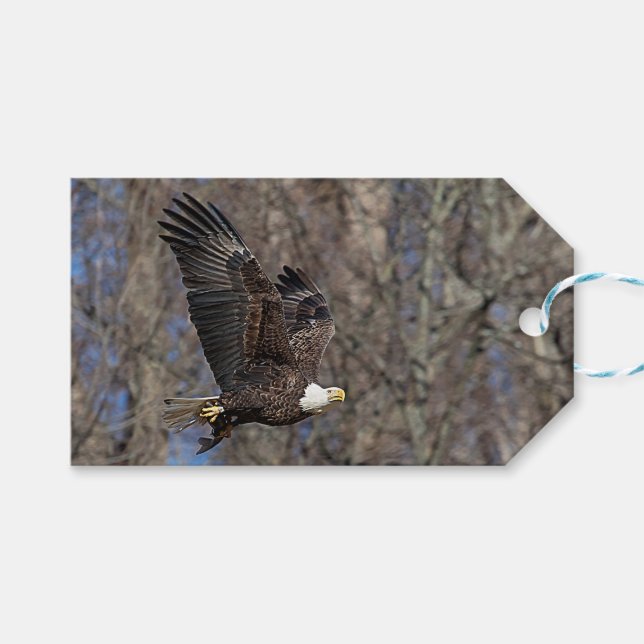 Bald-Adler mit Katfisch Geschenkanhänger (Vorderseite (Horizontal))
