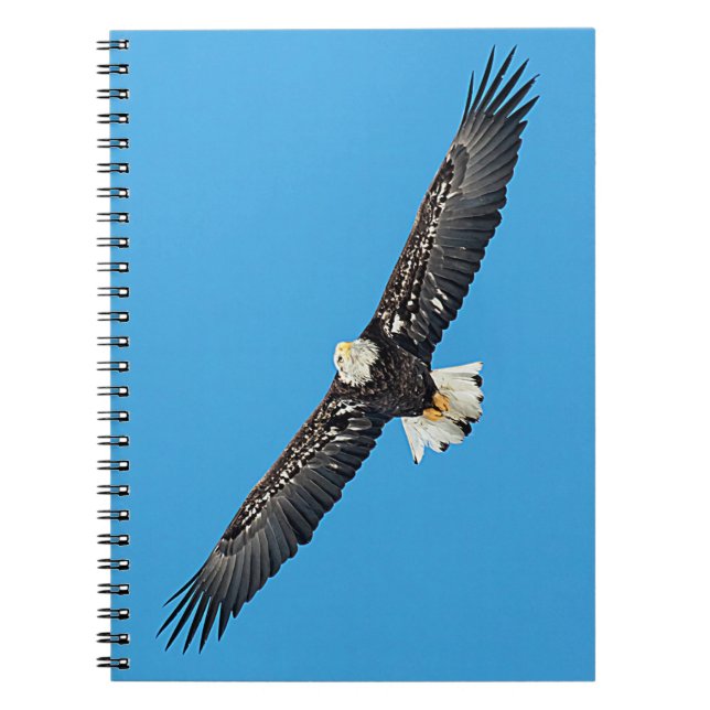 Bald-Adler Notizblock (Vorderseite)