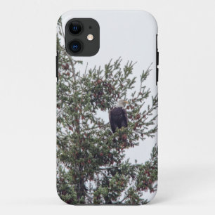 Bald-Adler P2825 Case-Mate iPhone Hülle